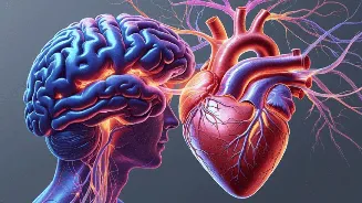 World Brain Day 2026: Expert explains how heart health can lower your risk of stroke and dementia