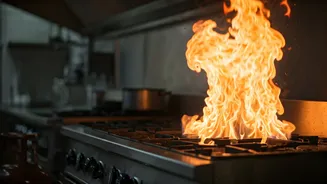 LPG Crisis Stokes Fire in Restaurant Kitchens: A Brewing Storm for Indian Eateries