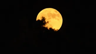 What to Know About Exposure Settings When Photographing the Moon
