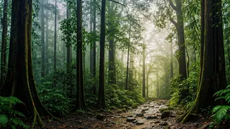 Cherrapunji And Mawsynram Own Monsoon Travel Now