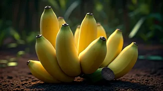 Vasai's Rajeli Keli: A Heritage Banana's Sweet Legacy and Bollywood Charm