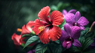 Flower Power Meets Rainy Weather
