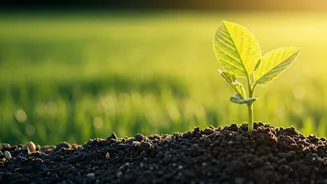 Plato's Parenting Wisdom: Cherish Slow Progress for Lasting Growth