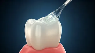 Regrowing Teeth: Scientists Develop Enamel-Repairing Gel!