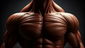 Salman Khan: The Bodybuilding Icon's Transformation