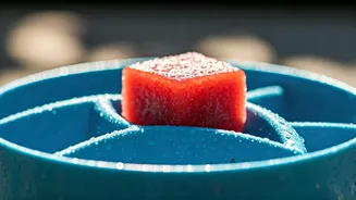 Freeze Pureed Watermelon In Puzzle Toys For Chill Pups