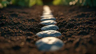 Gardeners Need Drainage Before The Next Downpour
