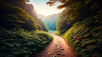 Japan Travel Needs More Than Sakura Dreams