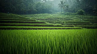 Goa Monsoon Trips Are Not A Backup Plan