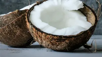 Coconut-Shell Containers Need Enough Depth for the Chosen Plant