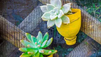 Why Vertical Waterproofing Panels Are A Game-Changer For Balcony Garden Maintenance
