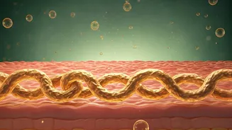 Ceramides Are Winning The Battle For Better Skin