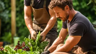 How To Re-Establish Beneficial Soil Microbes In Urban Raised Beds Damaged By Waterlogging