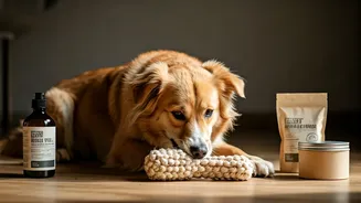 Mindful Pet Parenting Philosophy Forbids Toxic Impulsive Animal Sourcing Trends