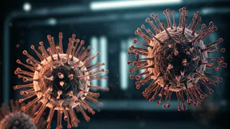 Ebola e Hantavírus: Por Que O Medo é Desproporcional? Desmistificando Pandemias