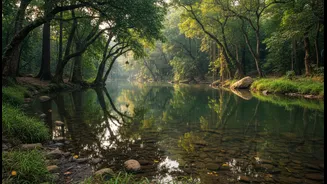 Why The Silence Of Maharashtra Unspoiled Lake Inlets Offers A Superior Restorative Nature Experience