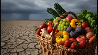 El Nino Risk Makes Food Budgets A Weather-Linked Planning Problem