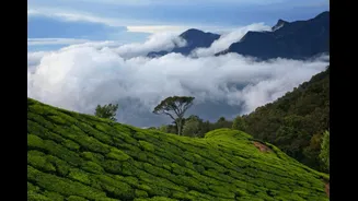 Western Ghats Monsoon Magic: 5 Stunning Stays To Experience The Region At Its Rainy Best