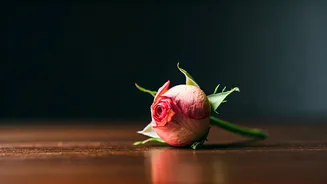 7 Phrases to Avoid: Nurturing Your Eldest Child's Well-being