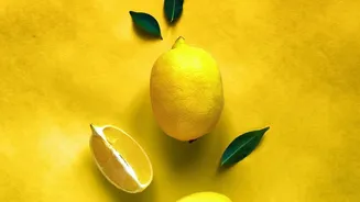The Role Of Soil In Growing Lemons At Home: Key Facts And Context