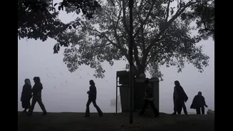 Bone-Chilling Cold Grips Delhi-NCR, Minimum Temperature Plunges To Season's Lowest At 4.6°C
