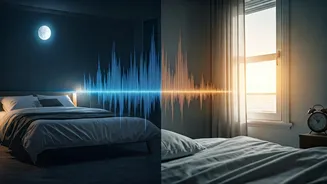 Sleep Cycles Unveiled: Late Nights vs. Early Mornings – What Your Body Truly Craves