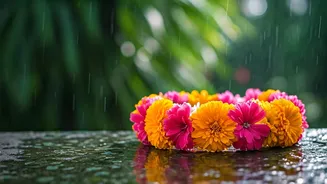 Goa Sao Joao Festivities Add Colorful Cultural Charm To