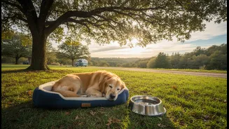 The Best Pet-Friendly Itinerary Includes Rest, Shade And Familiarity