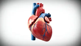 Boost Your Well-being: A Guide to Health & Wellness