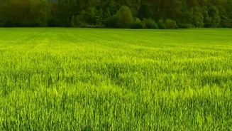 Nature Study Turns Cropland Quality into a Long-Term Planning Priority