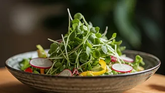 Top Your Homemade Salads With Nutritious Radish Shoots Every Single Day