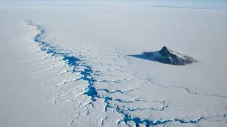 NISAR Maps Glacier Movement Through Crevasses Around Nunatak Zaterjavshijsja