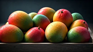 Season Finale: Mango Everywhere Again