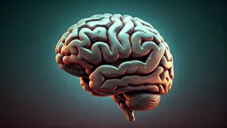 Unlock Emotional Mastery: 10 Core Signs of True Psychological Maturity