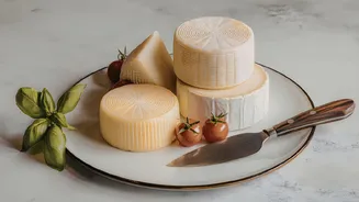 Desi Cheese Goes Global: India Wins 4 Medals Including ‘Super Gold’, PM Modi Applauds Historic Milestone