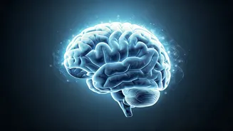 Unveiling Dementia's Early Whispers: Recognizing Behavioral and Memory Shifts