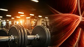 Ranbir Kapoor's Fitness Secrets Unveiled