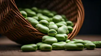 Plant Protein Gets More Variety With Fava Beans
