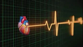 Northwestern Medicine says apoB blood test better predicts heart risk