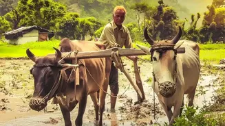 How Satellite Images Help Track Crops, Floods And Cyclones In India