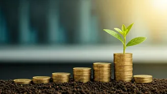 Smart Investing: Start Small, Grow Big