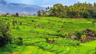 How To Plan A Budget Bali Itinerary Exploring Ubud Rice Terraces And Mount Batur