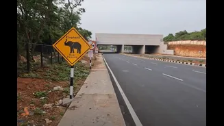 Related Stories banner