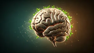 Wellness Coaching Meets Content Creation In 2026