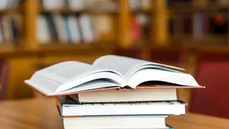 Academic Productivity Shift: Students Use Autonomous AI Tools For Structured Literature Reviews