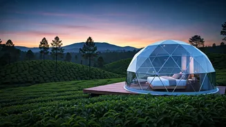 Sleep Under Stars Inside Secluded Munnar Tea Plantation Glamping Domes
