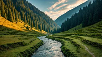 Dokchin Village: Sikkim's Unspoiled Haven for Nature Lovers and Authentic Experiences