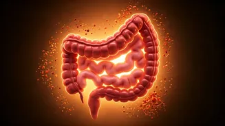 Gut-Friendly Eating Is Getting A Desi Upgrade