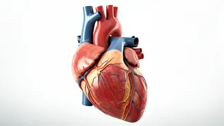 Heart Failure: Know Symptoms, Risks, and Care