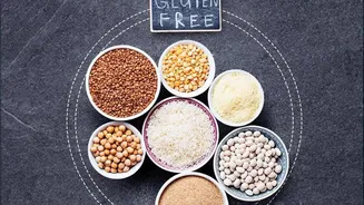 Why Food Tech Champions Jackfruit Seed Flour As A Protein-Rich Gluten-Free Alternative